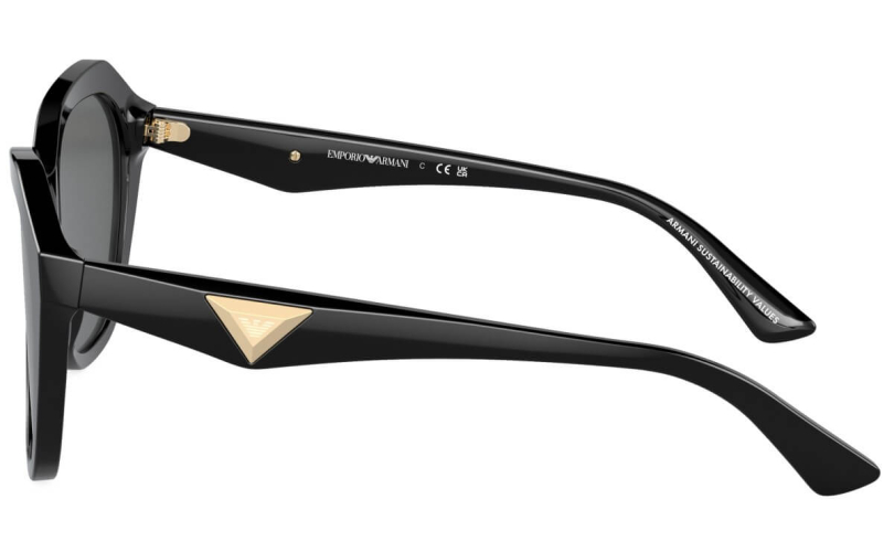 EMPORIO ARMANI EA4221 - 501787 - 2