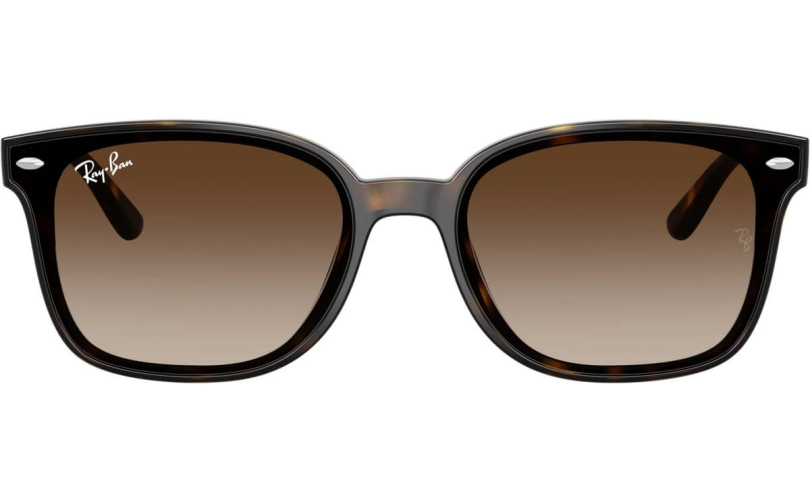 RAY-BAN RB4461D - 710/13 - 3