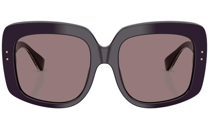 DOLCE & GABBANA DG4557 - 35017N - 3