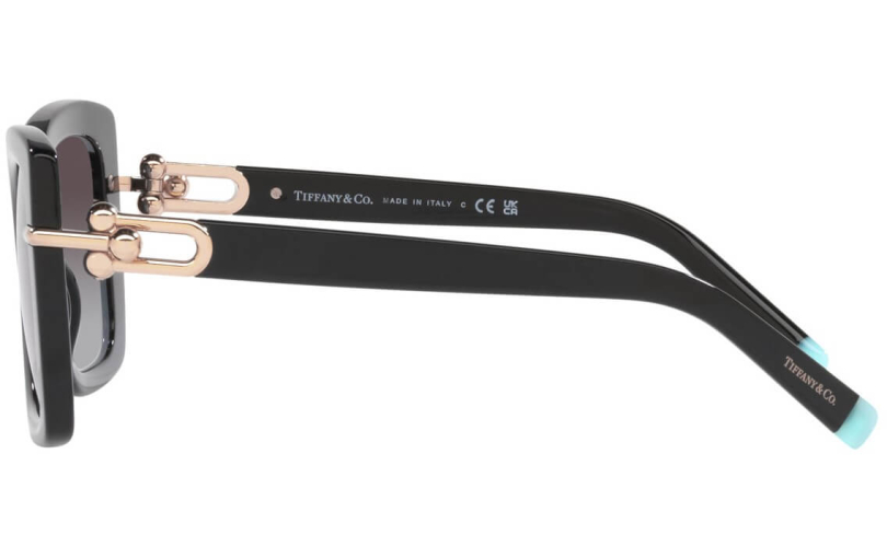TIFFANY & CO. TF4199 - 80013C - 2