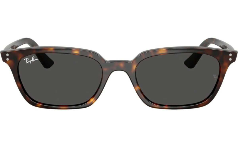 RAY-BAN RB4456 - 135987 - 3