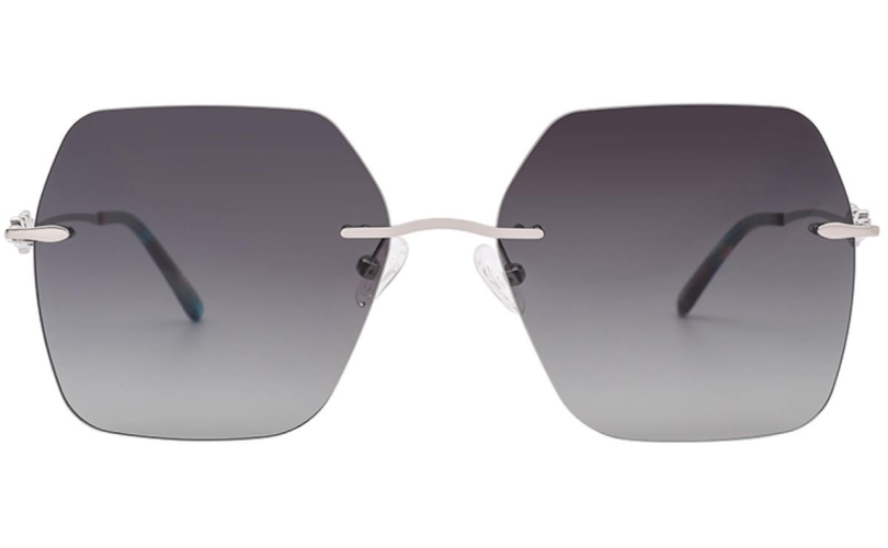 POLARD TS5002 - C2 - 2