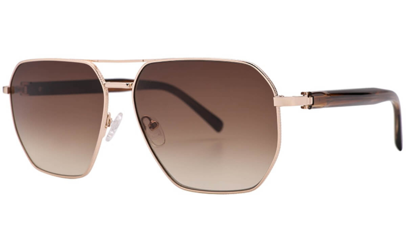 POLARD S6002 - C1