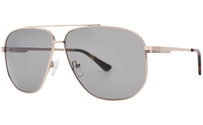 POLARD S5001 - C1