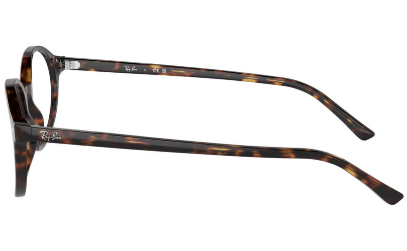 RAY-BAN RX5429 - 2012 - 2